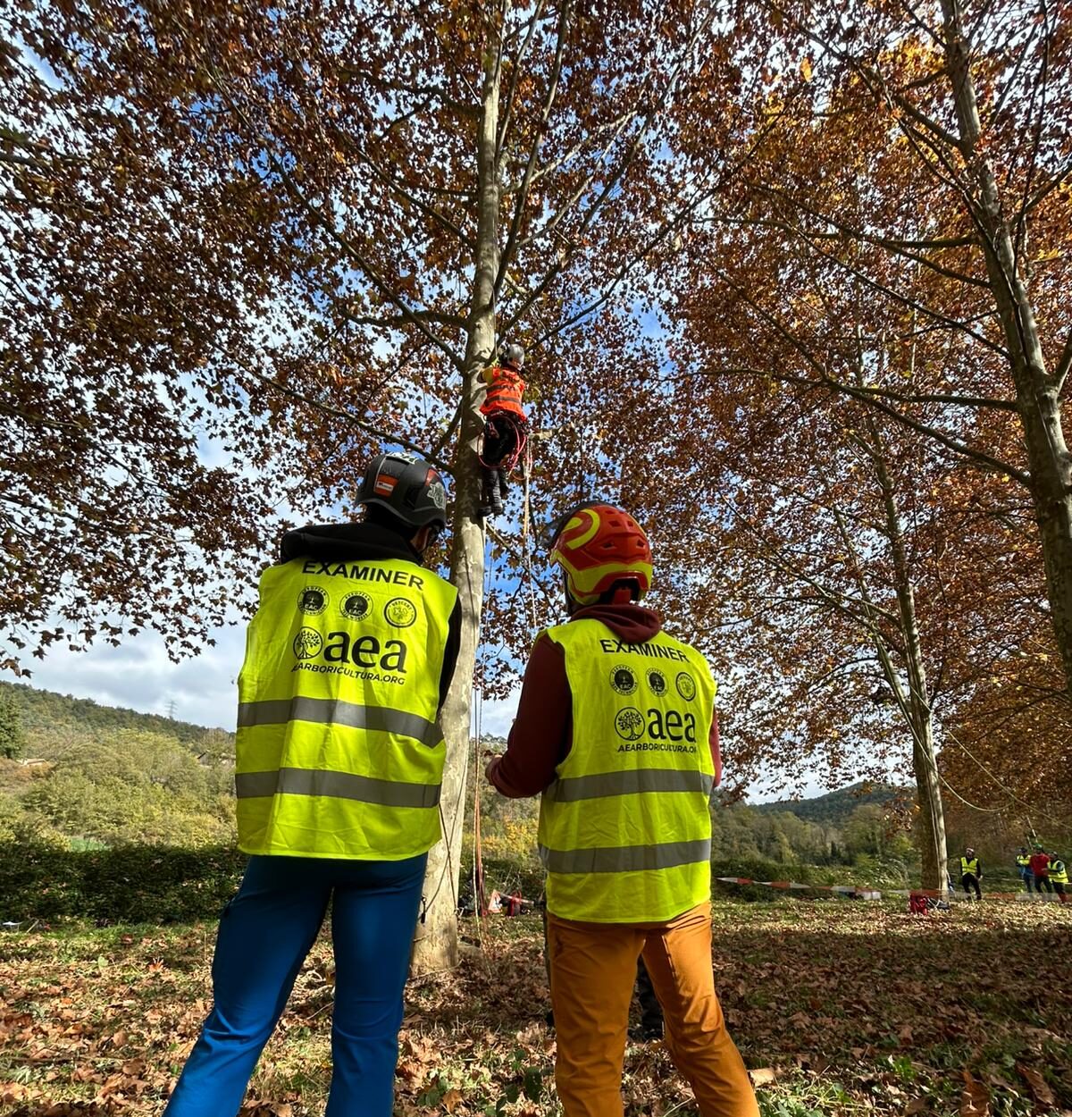 Celebració de la Certificació European Tree Worker